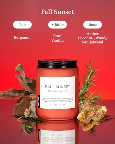 Soy Amber & Sandalwood Candle 19.4oz, 110hr Long Lasting Housewarming Gift