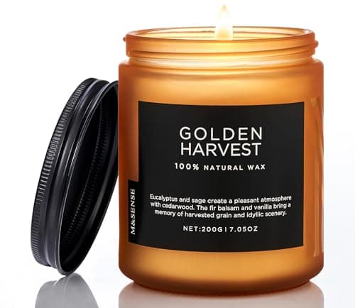 Soy Amber & Sandalwood Candle 19.4oz, 110hr Long Lasting Housewarming Gift