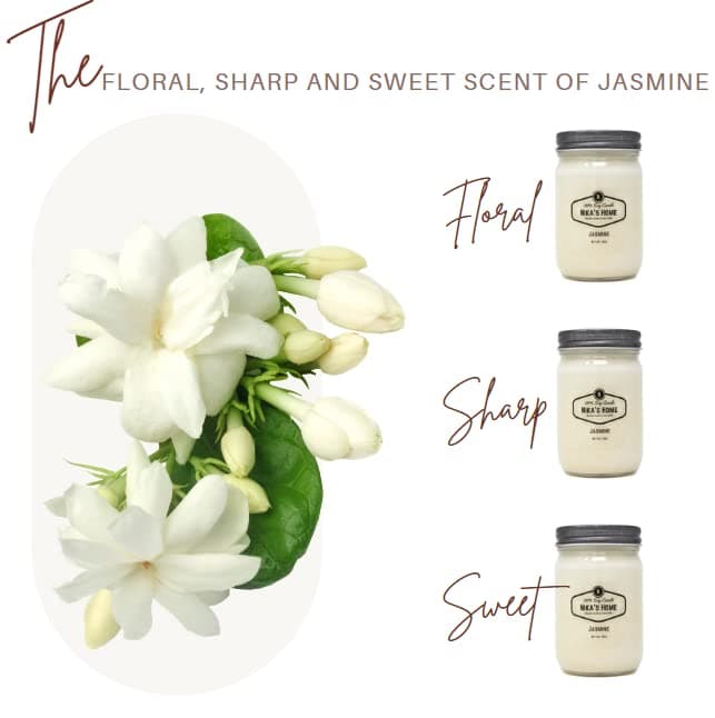 Nika's Jasmine Soy Candle, 12oz, Long Burning, Handmade