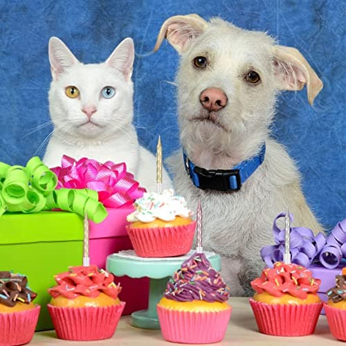 60 Pieces Birthday Candles for Birthday Party Cake Decorations