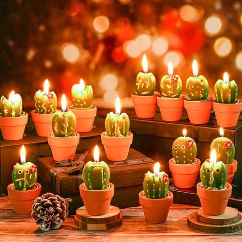 Shihanee 24 Pack Succulent Candles - Cactus Candles for Baby Shower, Birthday, Wedding Party Favors