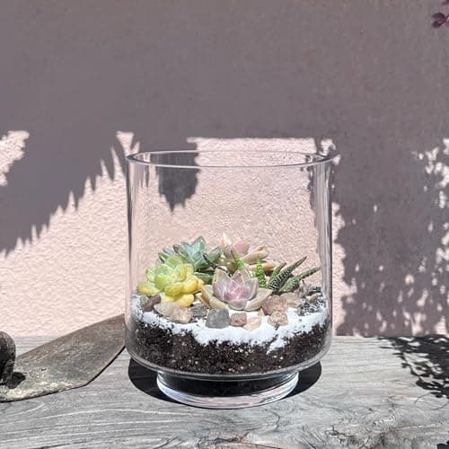 CYS EXCEL Clear Glass Hurricane Candle Holder for Pillar Candles, 6.5" Height