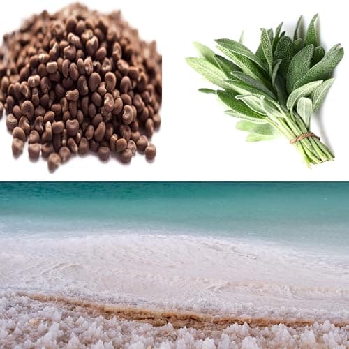 Wood Sage & Sea Salt Wooden Wick Soy Candle, 8 oz, Highly Scented
